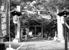 鎮守の杜