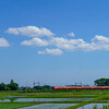 早く旅をしたい