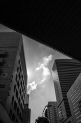 City crop