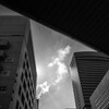 City crop