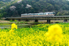 春の小川を駆け抜けて