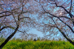 Spring road