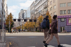 冬の街