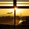 夕日のLanding