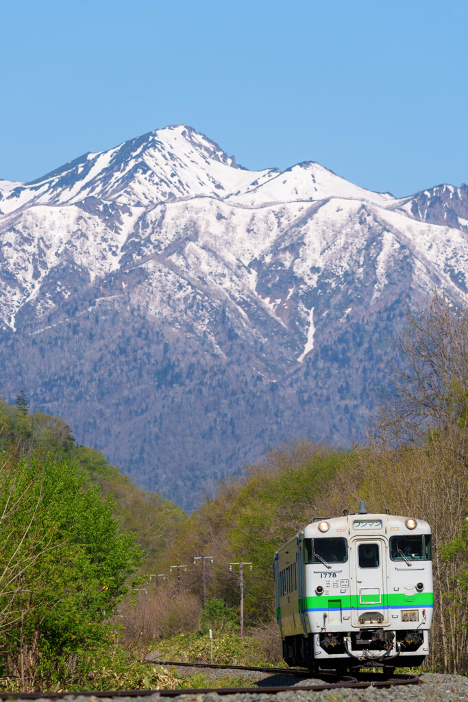 白いお山に萌黄キハ