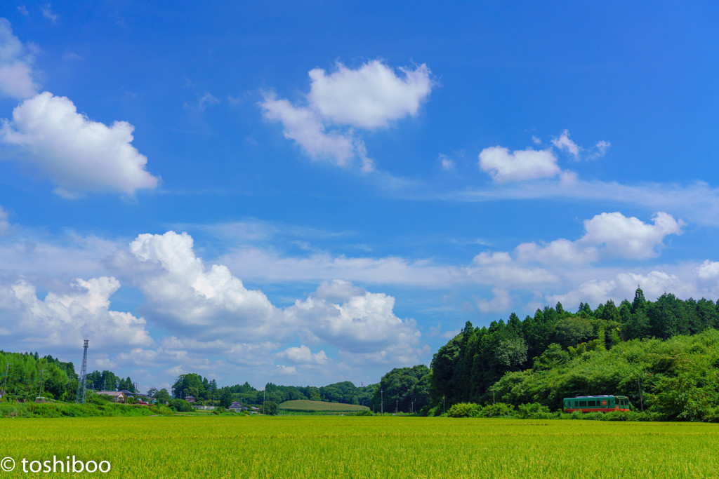 果てしない青空