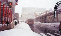 雪の青森、冬の営み