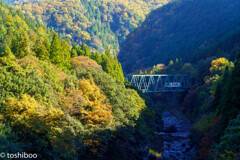 秋を駆ける橋