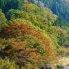 秋の陽気に誘われて