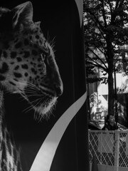 Hunter