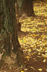 ちかくの公園02