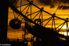 London eye one day 5/5