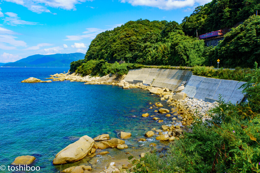 京丹後の海に