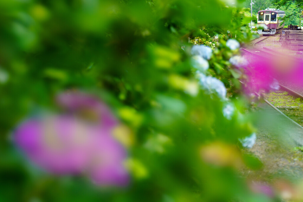 華迎え