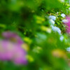 華迎え
