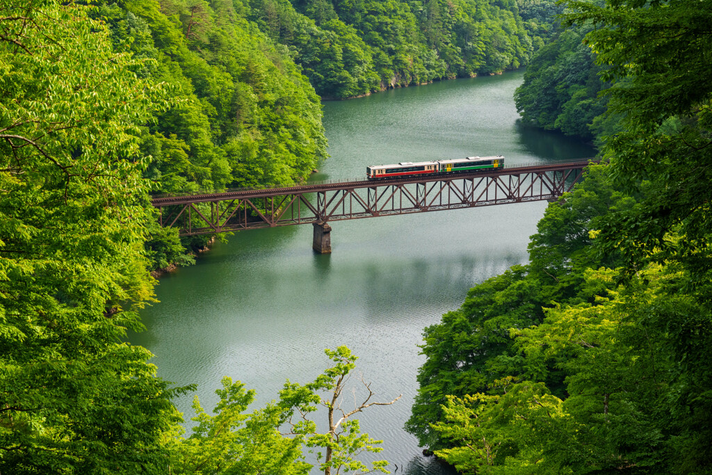 初夏の三橋