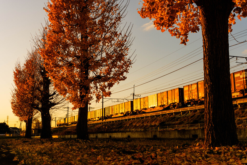 いつもの公園、がんばる機関車