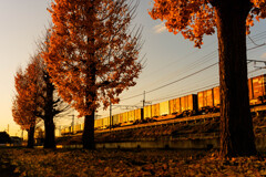 いつもの公園、がんばる機関車