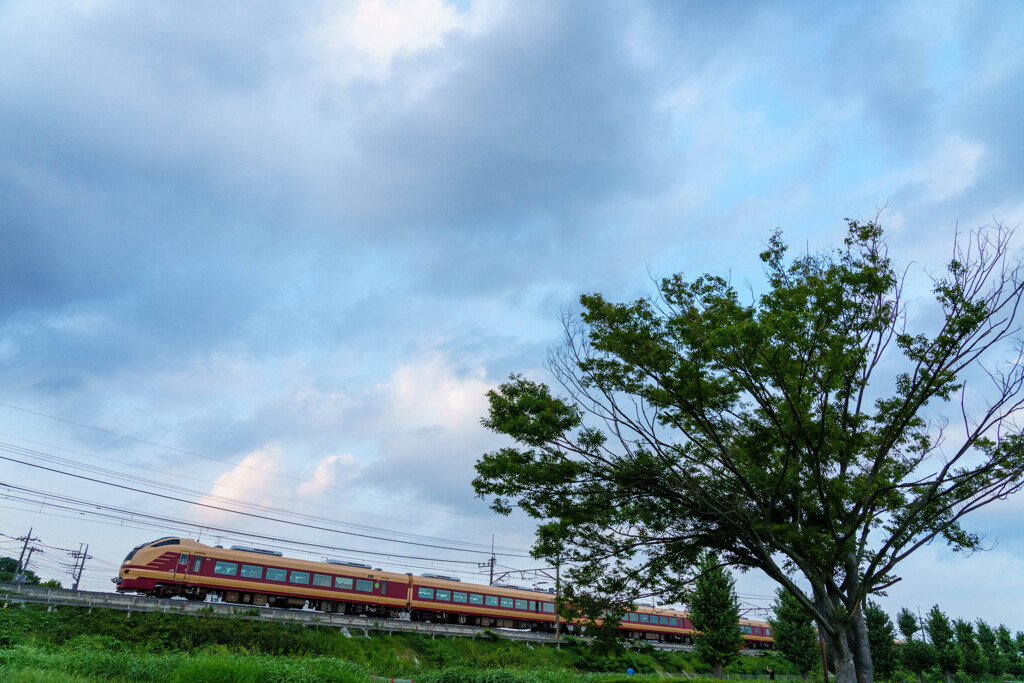 夏の海浜公園川越号