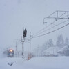 なんだ雪こんな雪