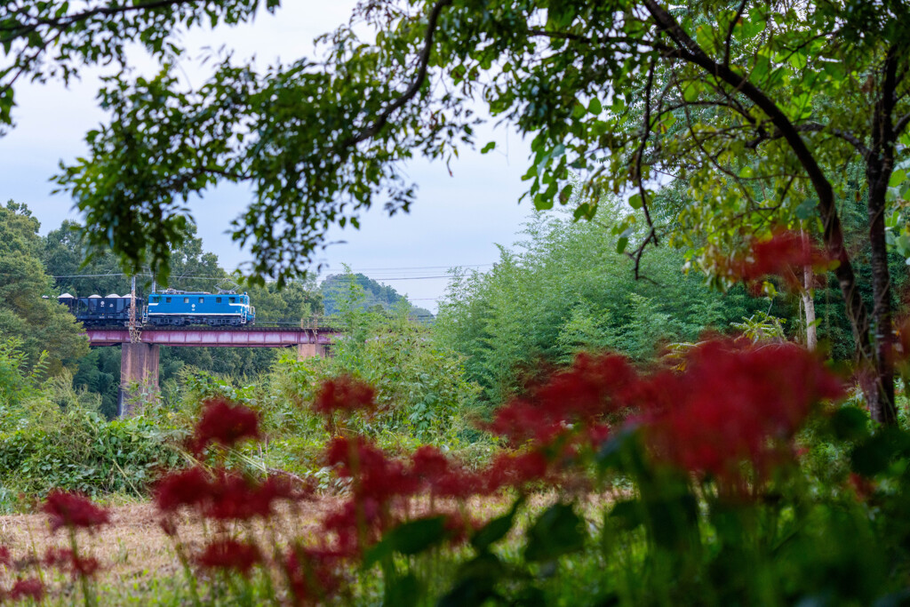 秩父鉄道秋景色