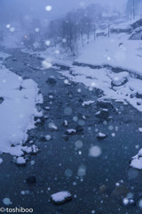 凍てつく河