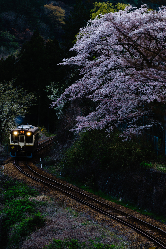 あなたを見つめて