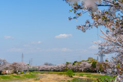 ぽかぽか陽気