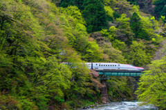 山河潤う
