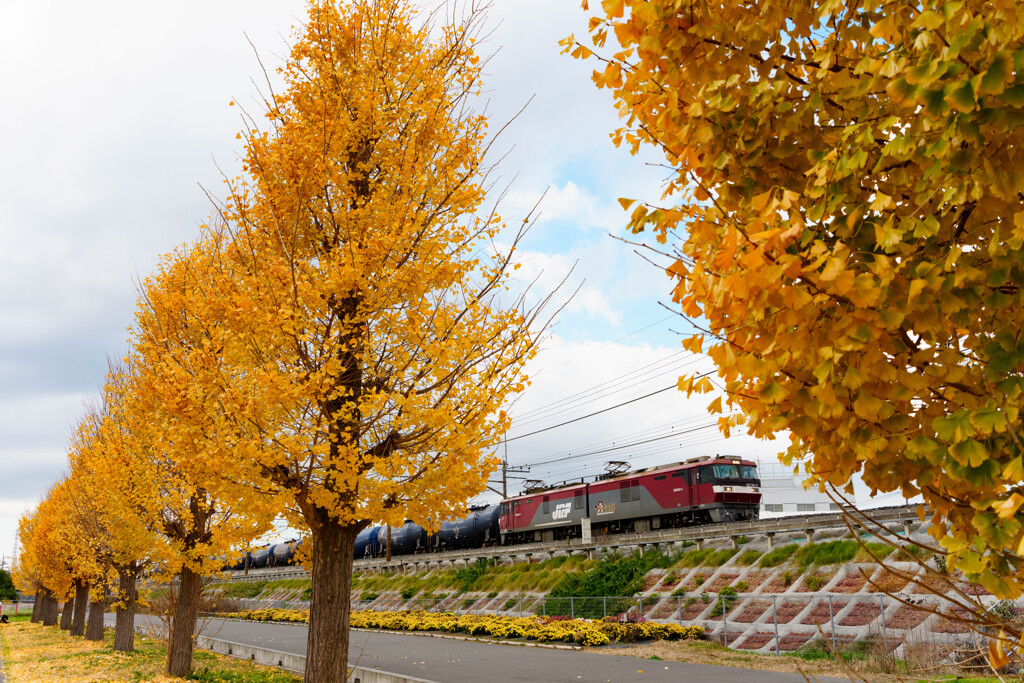 いつもの公園、がんばる機関車