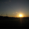 夕日