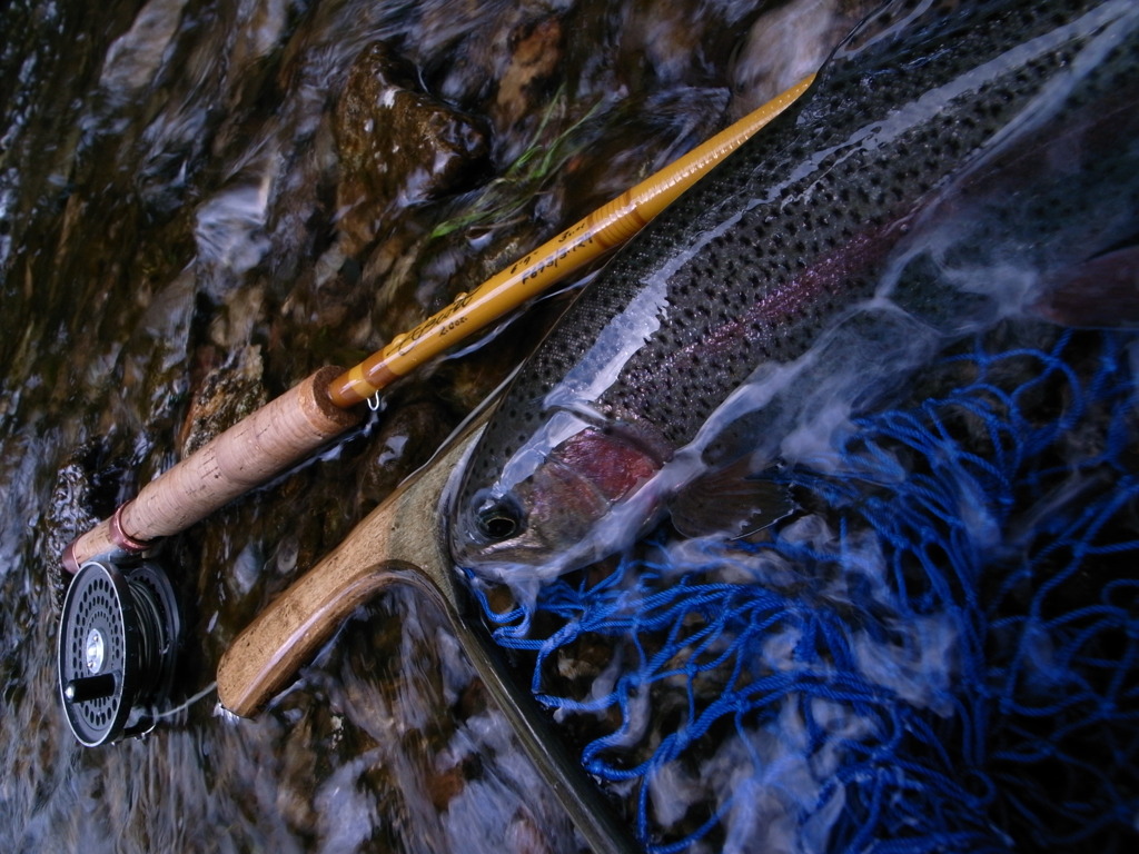 yugawa rainbow