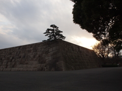 忘却の高台