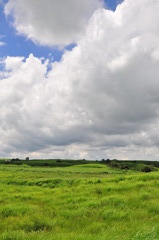 雲