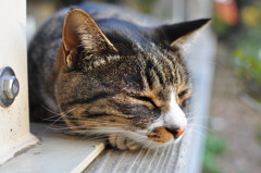 ｚｚｚ。。。