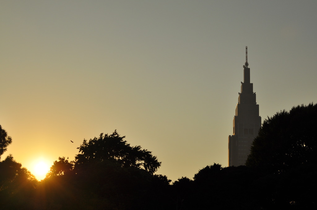 新宿の夕日