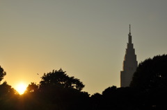 新宿の夕日
