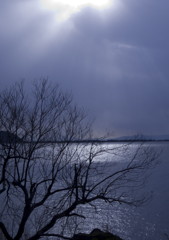 冬の光と琵琶湖