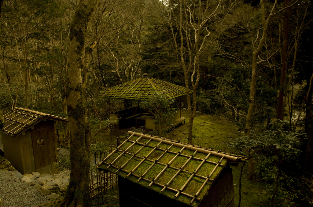 京の古寺にて