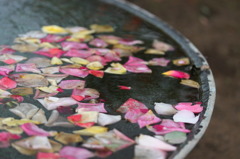 水鏡