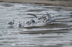 Winter Beach