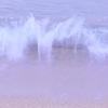 WAVE