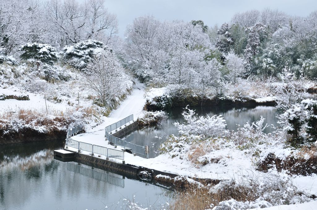 雪景色