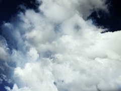 夏雲（NO.1）
