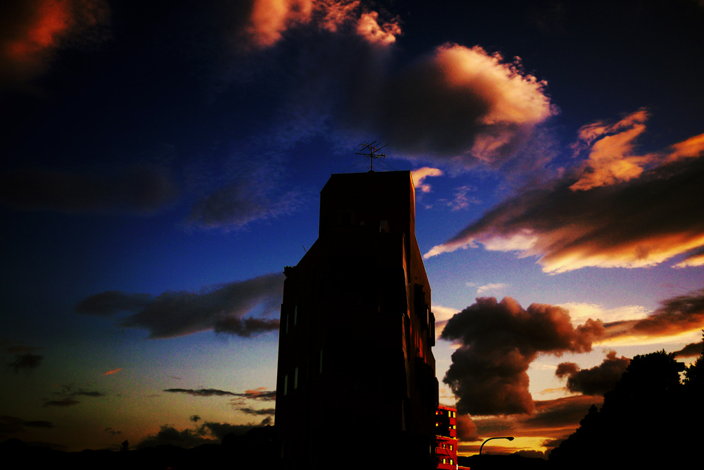 梅雨雲の夕顔