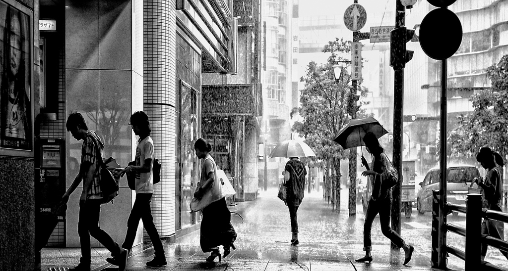 雨のきらめき通り