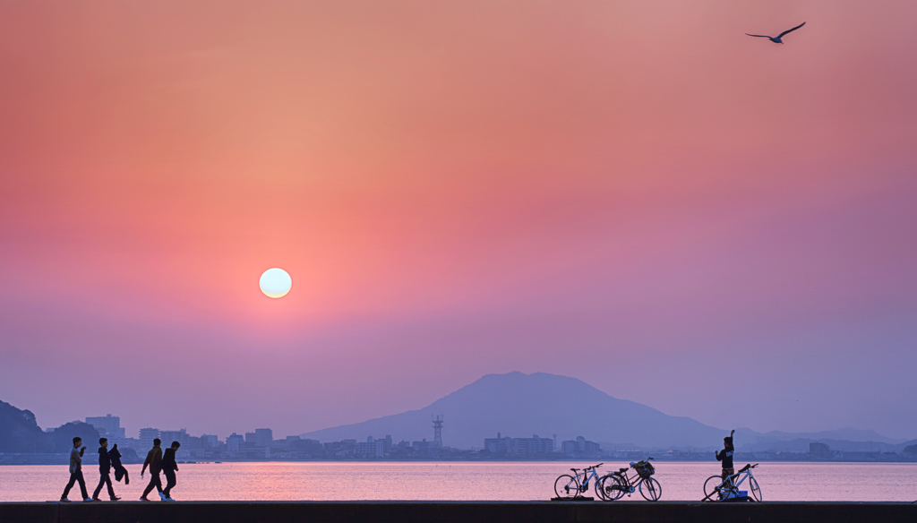 夕日にカモメと青春