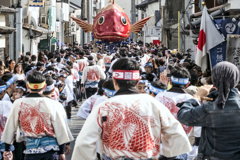 街に鯛を泳がせよう【魚組】