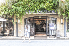 DEAR DAUGHTERの緑壁