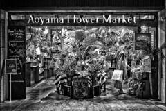 Flower Market